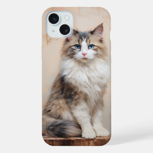 Ragdoll