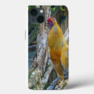 Etui iPhone 13 Rooster à la luffée gris orange,