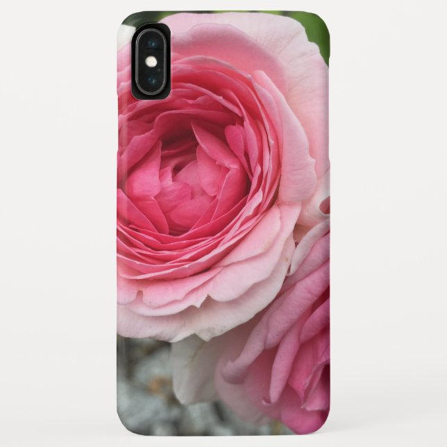 Coque iphone rose Roses (Dos)