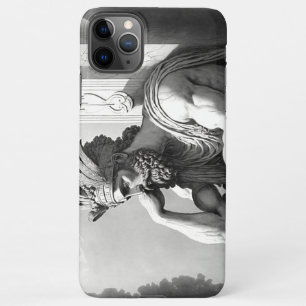 Coque iPhone 11Pro Max Signal incorrect