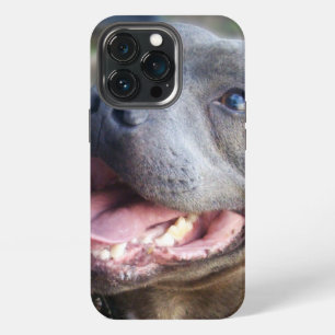Etui iPhone 13 Pro Staffordshire Bull Terrier heureux,