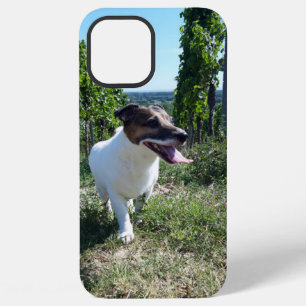 Coque iPhone 12 Pro Max Tête de Capo von Oppenheim Terrier Jack Russell, C