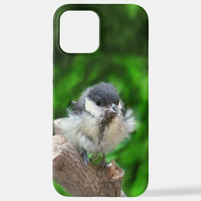 Coque iPhone Tidi my Bird le Parus Major (Verso)