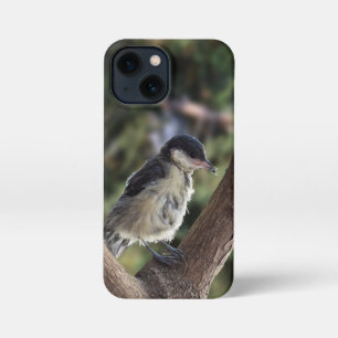 Etui iPhone 13 Mini Tidi my Bird le Parus Major