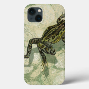 Etui iPhone 13 Toad Swinning in the Water