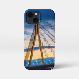 Etui iPhone 13 Mini Vansu Tilts