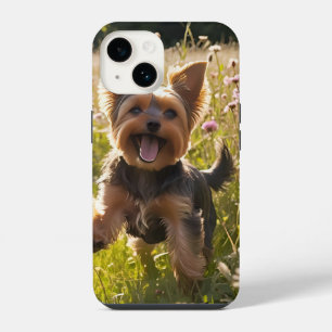 Coque Pour iPhone 14 Yorkshires jouant dans l'herbe