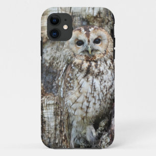 Coque-Mate Tough Apple iPhone 11 Coque