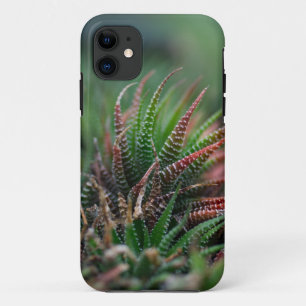 Coque-Mate Tough Apple iPhone 11 Coque