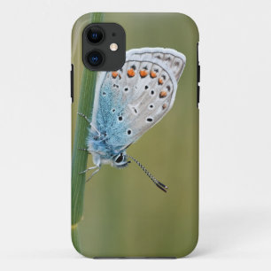 Coque-Mate Tough Apple iPhone 11 Coque