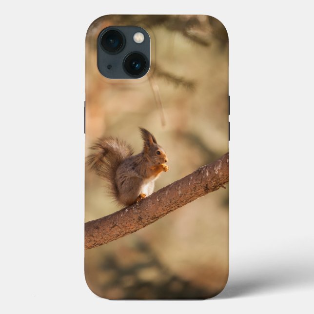 Coque-Mate Tough Apple iPhone 13 Coque (Verso)