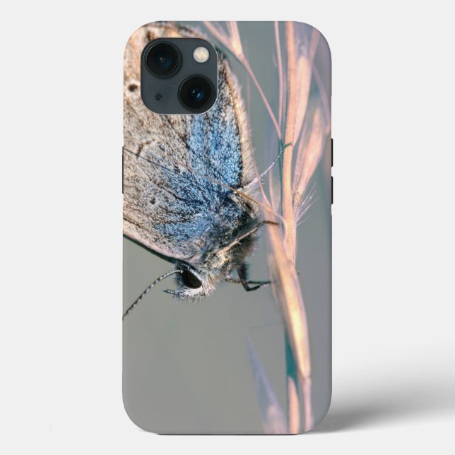 Coque-Mate Tough Apple iPhone 13 Coque (Verso)