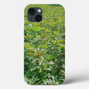 Coque-Mate Tough Apple iPhone 13 Coque