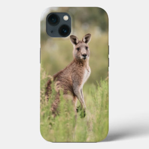 Coque-Mate Tough Apple iPhone 13 Coque