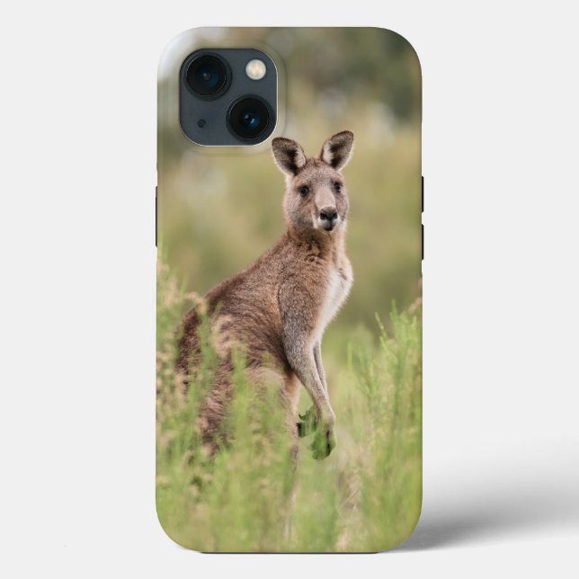 Coque-Mate Tough Apple iPhone 13 Coque (Verso)