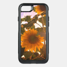 Tournesol