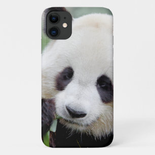 Coque Photo géant panda, panda gant, animaux.