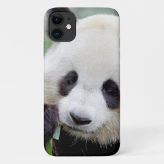 Coque Photo géant panda, panda gant, animaux.