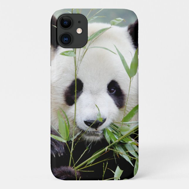 Coque Photo géant panda, panda geant , animaux. (Dos)
