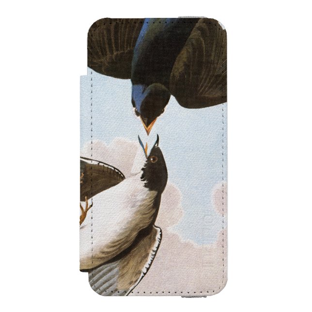 Coque Portefeuille Incipio Pour iPhone Audubon : Hirondelle d'arbre (Folio Devant)