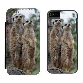 Coque-portefeuille iPhone 5 Incipio Watson™ Meerkat-Dreamteam