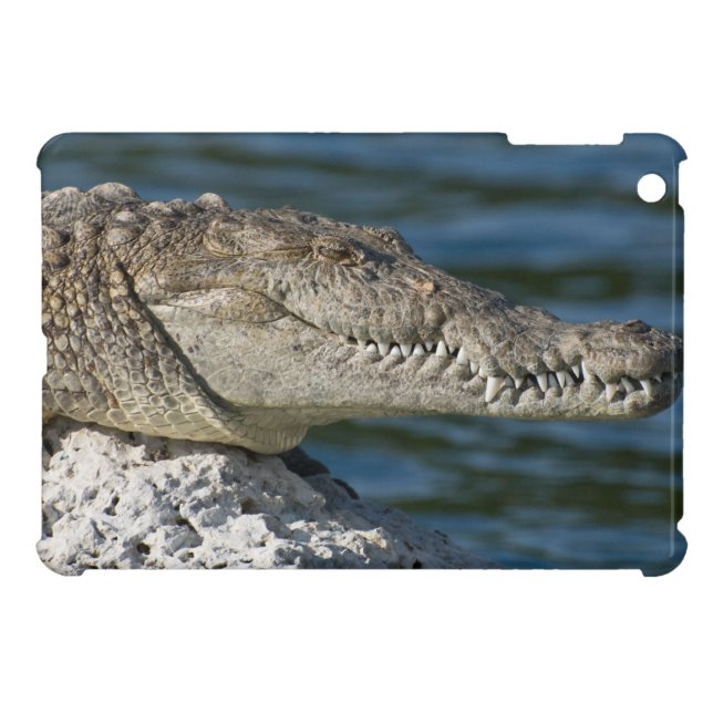Coque Pour iPad Mini Crocodile américain (Dos Horizontal)