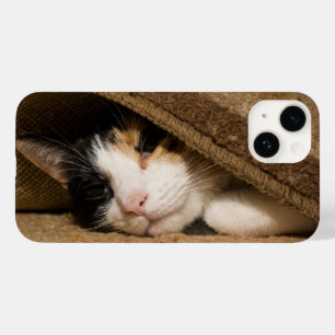 Coque Pour iPhone 14 Calico Sous Le coque iphone Du Tapis