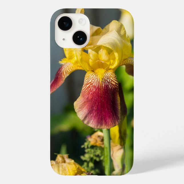 Coque Pour iPhone 14 Heirloom Iris coque iphone (Verso)
