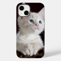 iphone 14 coque chat amour