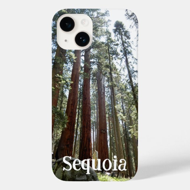 Coque Pour iPhone 14 Sequoia National Forest iPhone 14 Coque (Verso)