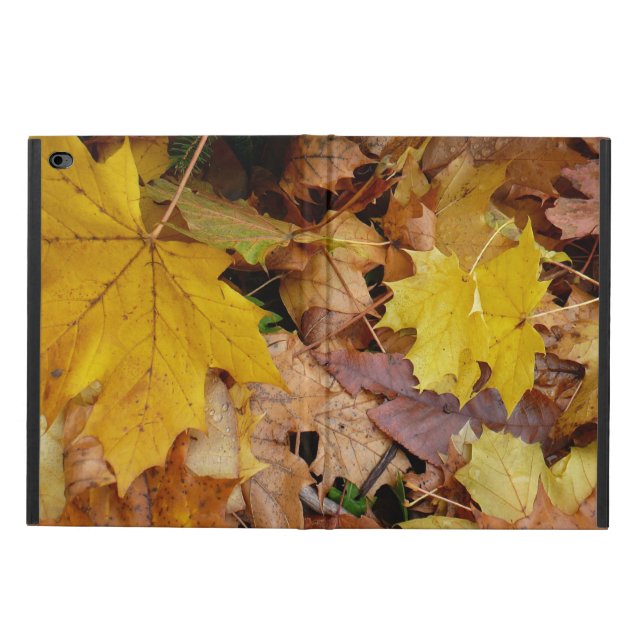 Coque Powis iPad Air 2 Fallen Maple Feuille Jaune Automne Nature (Extérieur)