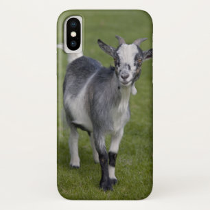 Coque Pygmy chèvre iPhone X