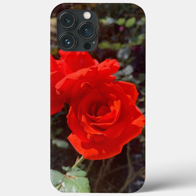 Coque Red Rose iPhone 13 Pro Max (Verso)