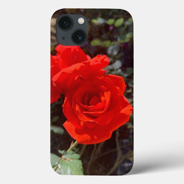 Coque rouge rose iPhone 13 (Verso)