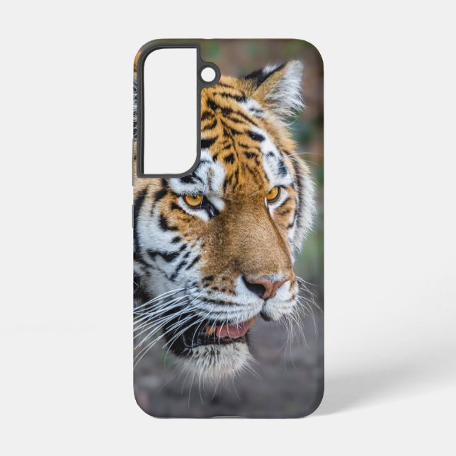 Coque Samsung Galaxy Amur tiger (Verso)