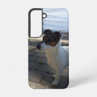 Capo von Oppenheim, Jack Russell Terrier Chien