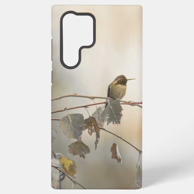 Coque Samsung Galaxy Colibri 5265 (Verso)