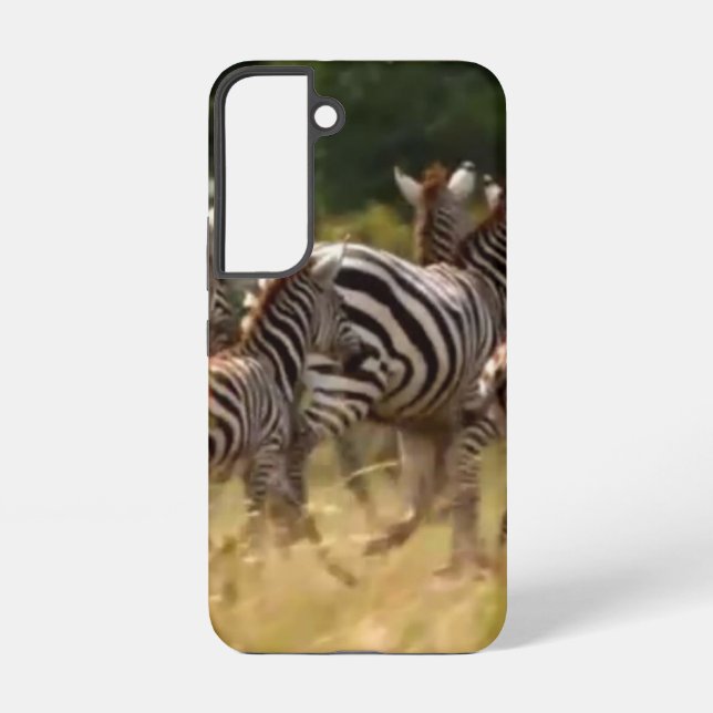 Coque Samsung Galaxy Créez votre propre magnifique Zebra Migration Keny (Verso)