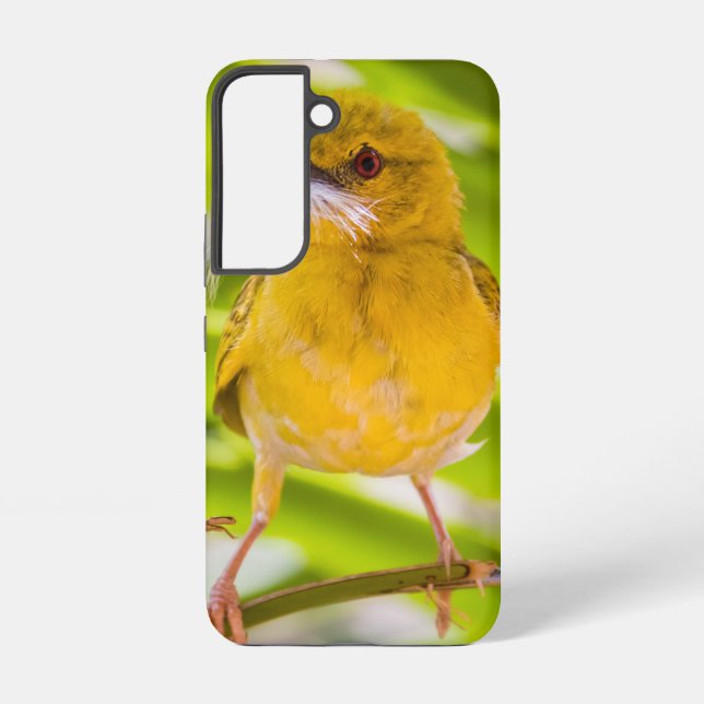 Coque Samsung Galaxy Il est temps de construire le nid (Verso)