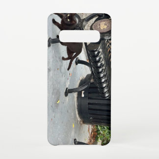 Coque Samsung Galaxy S10 Kitty dans le parc