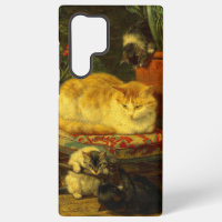 Les chatons en jeu