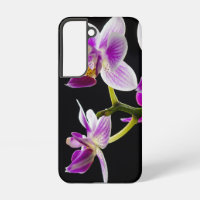 Orchidée blanche et violette