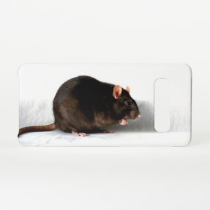 Coque Samsung Galaxy S10 Rat sgcna