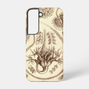 Coque Samsung Galaxy Vintage Haeckel