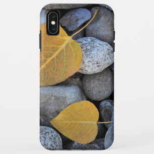 Coque Tough de Case-Mate pour iPhone XS Max d'Appl