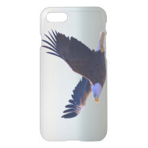 Voler d'Eagle chauve