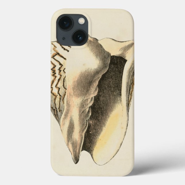 Coque vintage Sepia Conch (Verso)