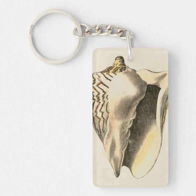 Coque vintage Sepia Conch (Devant)