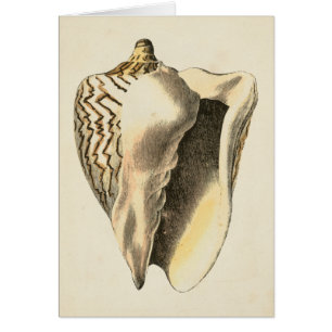 Coque vintage Sepia Conch