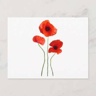 Coquelicot-Mohn Postkarte